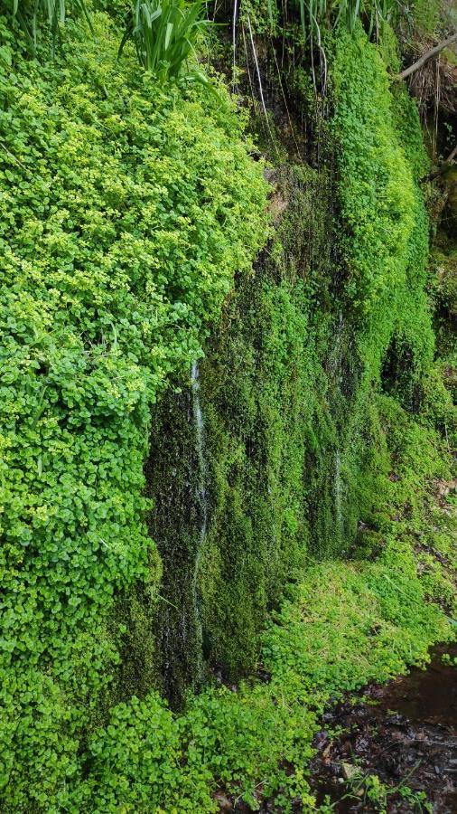 Pe Na Aldeia Villa Outeiro  Kültér fotó