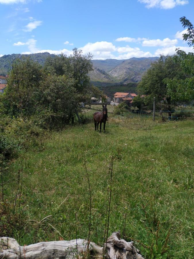 Pe Na Aldeia Villa Outeiro  Kültér fotó